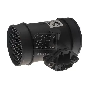 305016 EFI AUTOMOTIVE
