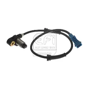 EFI AUTOMOTIVE 302193