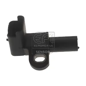 144361 EFI AUTOMOTIVE