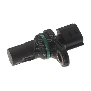 303480 EFI AUTOMOTIVE