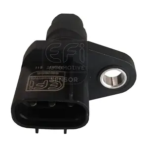 303363 EFI AUTOMOTIVE