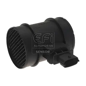 EFI AUTOMOTIVE 305132
