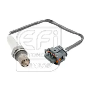 EFI AUTOMOTIVE 301356