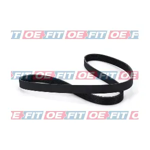 1253937 FORD USA