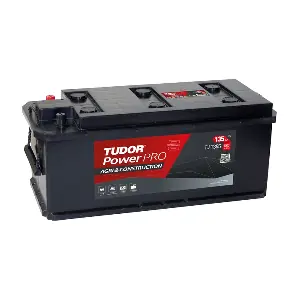 TJ1355 TUDOR