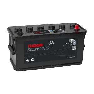 TG1008 TUDOR