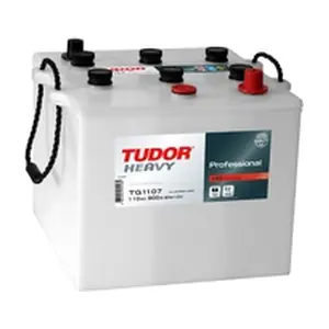 61038 TUDOR
