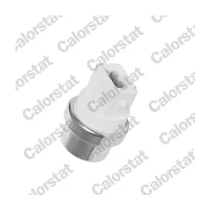 CALORSTAT by Vernet TS2900