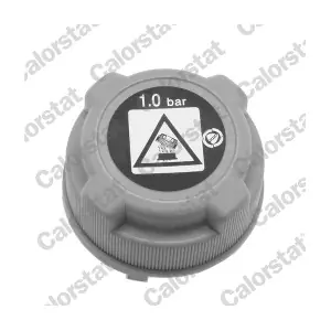 RC0197 CALORSTAT by Vernet