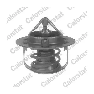 TH6845.88J CALORSTAT by Vernet