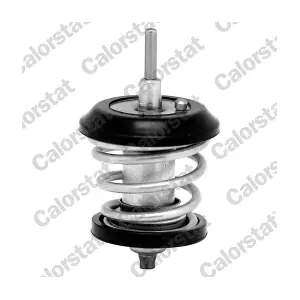 CALORSTAT by Vernet TH718895J