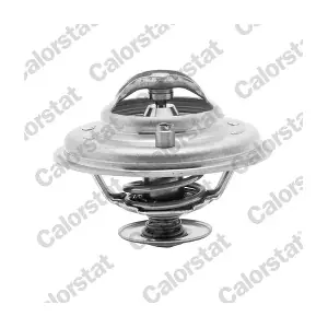 CALORSTAT by Vernet TH5973.80J