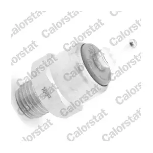 CALORSTAT by Vernet TS2897