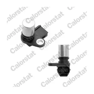 CS0303 CALORSTAT by Vernet