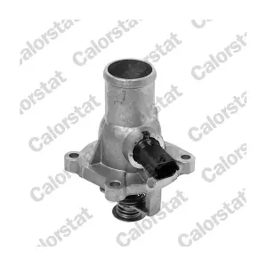 CALORSTAT by Vernet TE6983.105J