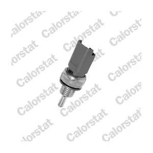 CALORSTAT by Vernet WS2606