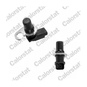 CS0295 CALORSTAT by Vernet