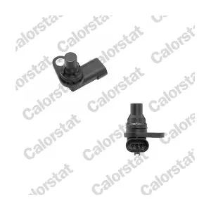 CS0251 CALORSTAT by Vernet
