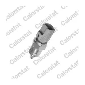 CALORSTAT by Vernet WS2677