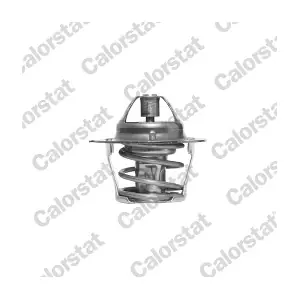 CALORSTAT by Vernet TH1248.80J