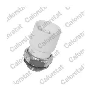 TS1771 CALORSTAT by Vernet
