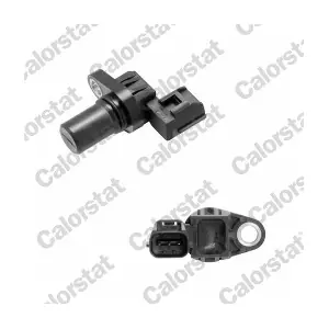 CS0363 CALORSTAT by Vernet