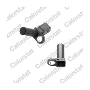CS0313 CALORSTAT by Vernet