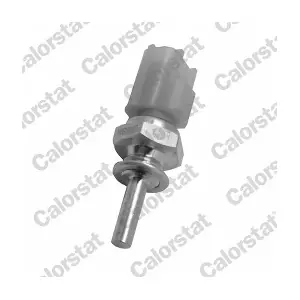 CALORSTAT by Vernet WS2690