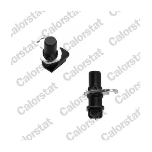 CS0275 CALORSTAT by Vernet