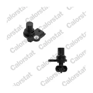 CS0331 CALORSTAT by Vernet