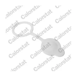 CALORSTAT by Vernet RC0206