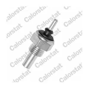 CALORSTAT by Vernet WS2552