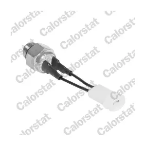 CALORSTAT by Vernet TS2850