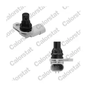CS0403 CALORSTAT by Vernet