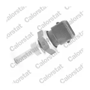 CALORSTAT by Vernet WS3002