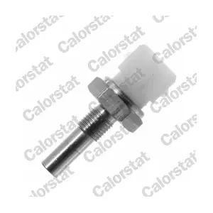 CALORSTAT by Vernet WS2580