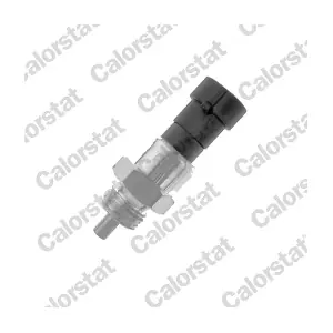 CALORSTAT by Vernet RS5535