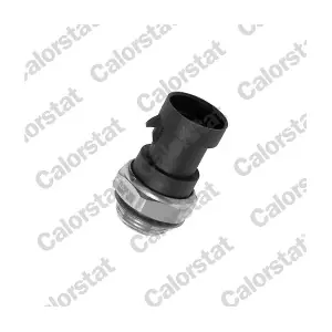 CALORSTAT by Vernet TS1955