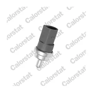 CALORSTAT by Vernet WS2604