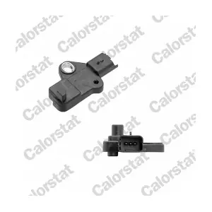 CS0338 CALORSTAT by Vernet