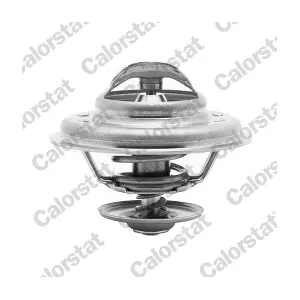 CALORSTAT by Vernet TH511180J