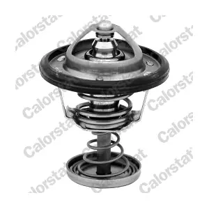 CALORSTAT by Vernet TH695082J