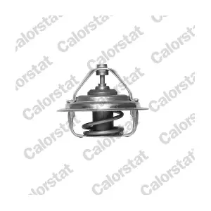 CALORSTAT by Vernet TH1473.88J