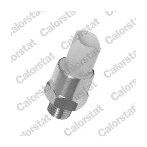 CALORSTAT by Vernet TS 2704