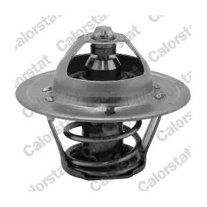 CALORSTAT by Vernet TH6313.88J