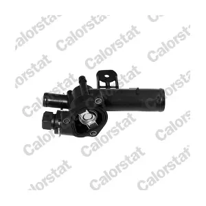 TH6393.89J CALORSTAT by Vernet