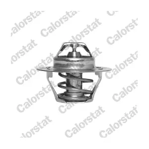 CALORSTAT by Vernet TH4168.89J