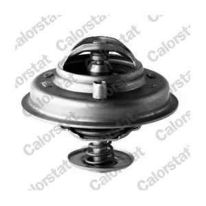 CALORSTAT by Vernet TH5753.84J