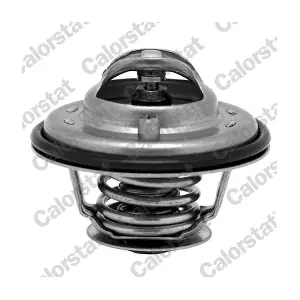 CALORSTAT by Vernet TH6533.80J