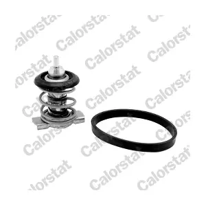 CALORSTAT by Vernet TH920088J